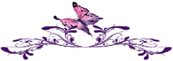 butterfly footer border
